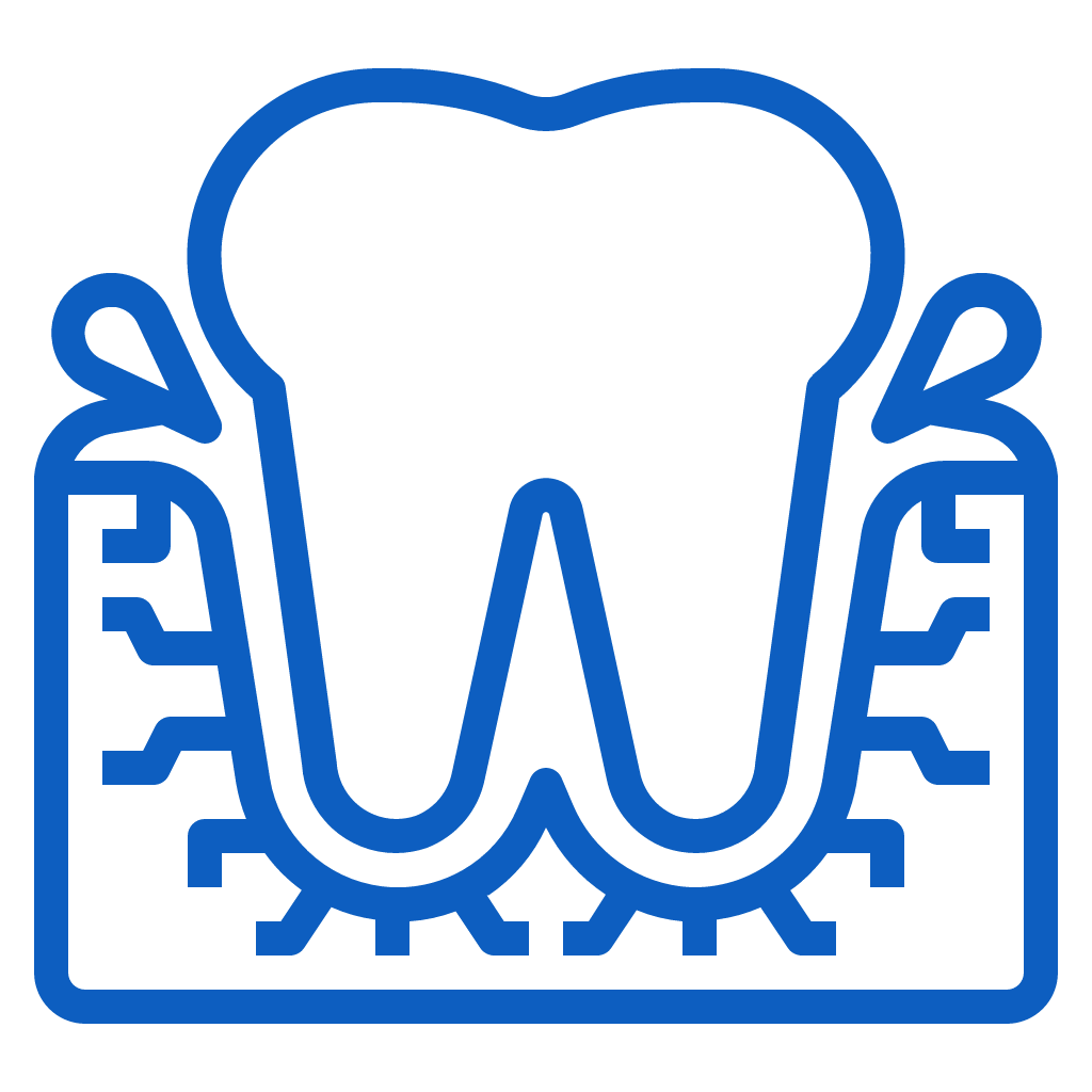 Blue line illustration of tooth with roots and gum structure, dental care icon.